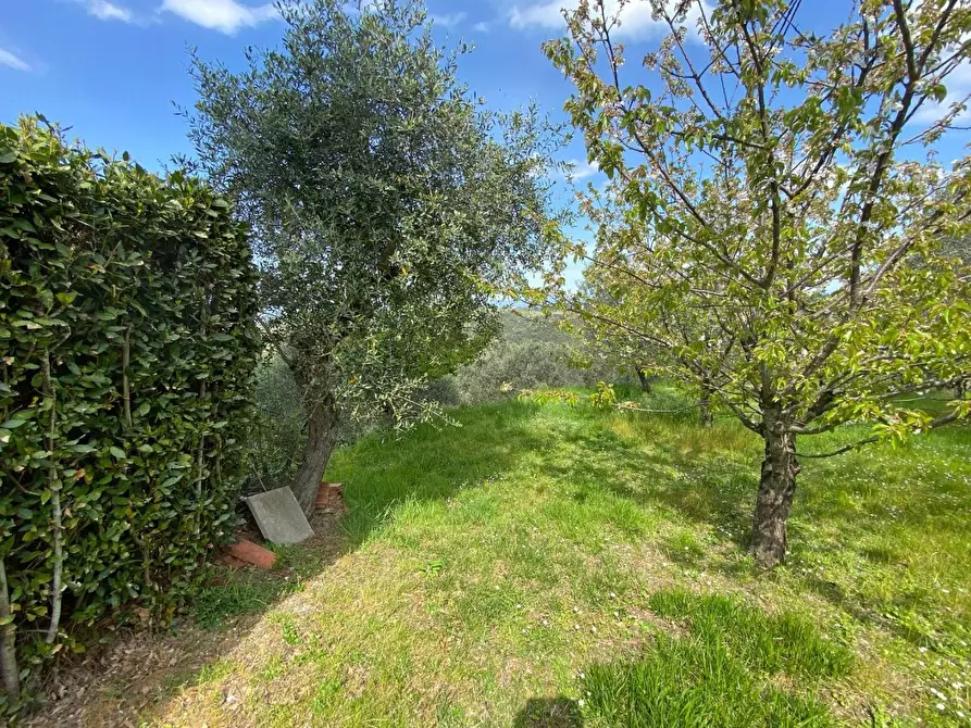 Immagine 10 di Rustico / casale in vendita  a Palaia