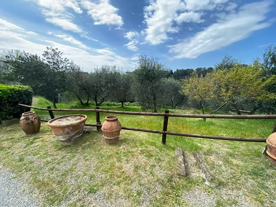 Immagine 6 di Rustico / casale in vendita  a Palaia