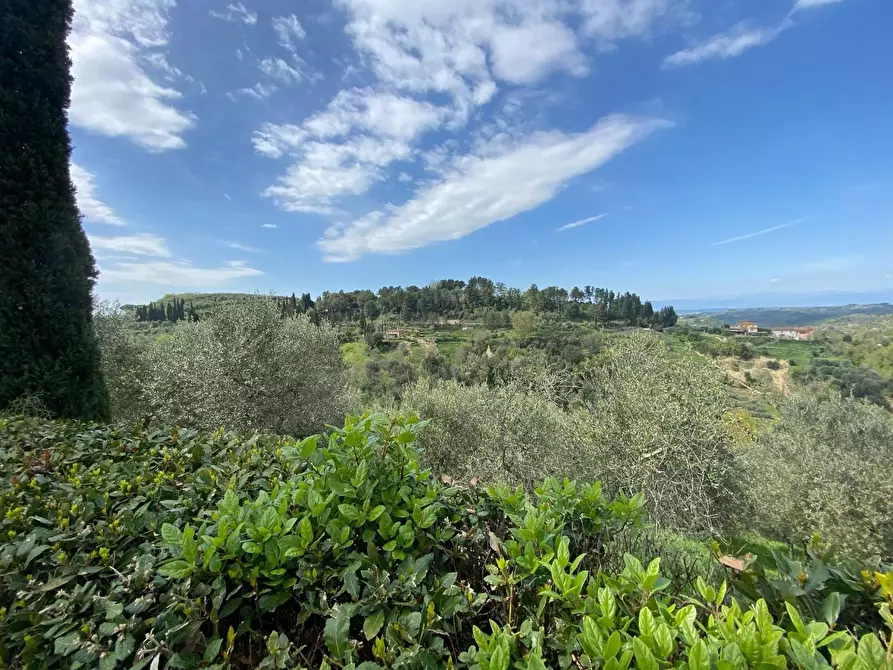 Immagine 14 di Rustico / casale in vendita  a Palaia