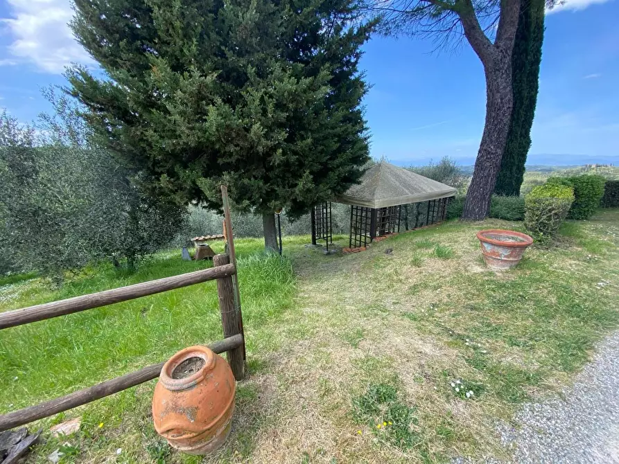 Immagine 8 di Rustico / casale in vendita  a Palaia