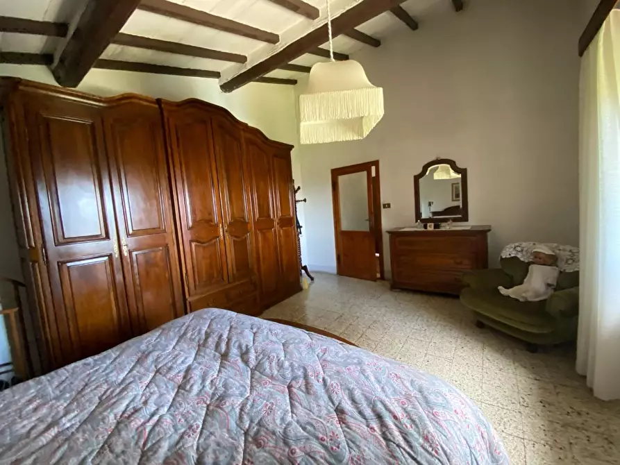 Immagine 21 di Rustico / casale in vendita  a Palaia