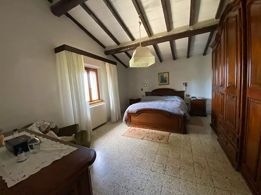 Immagine 18 di Rustico / casale in vendita  a Palaia