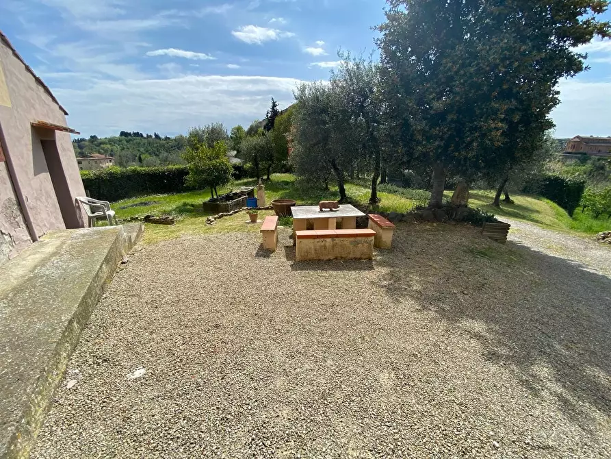 Immagine 12 di Rustico / casale in vendita  a Palaia