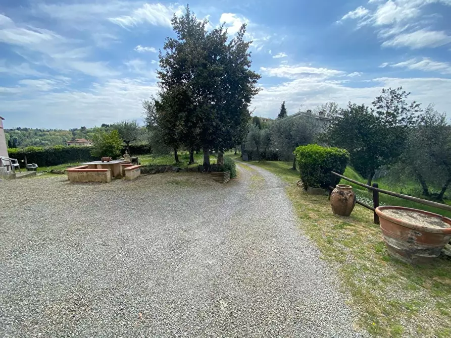 Immagine 7 di Rustico / casale in vendita  a Palaia