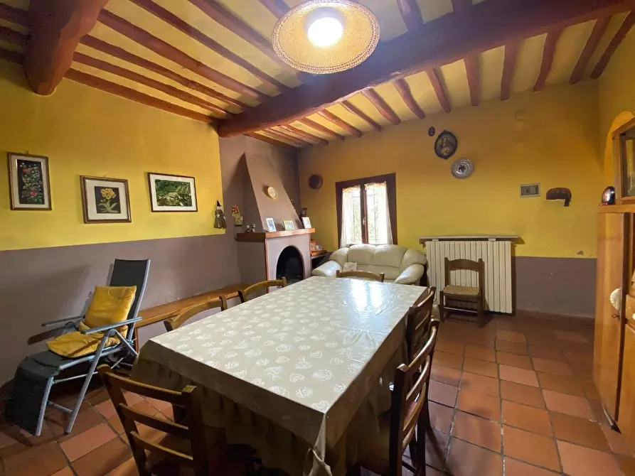 Immagine 17 di Rustico / casale in vendita  a Palaia