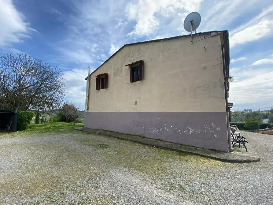 Immagine 5 di Rustico / casale in vendita  a Palaia