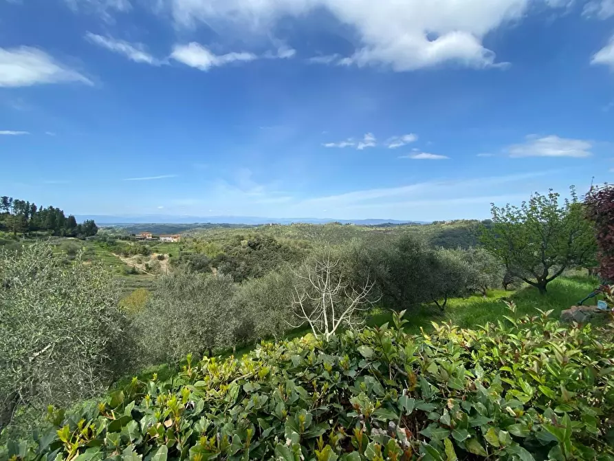 Immagine 9 di Rustico / casale in vendita  a Palaia