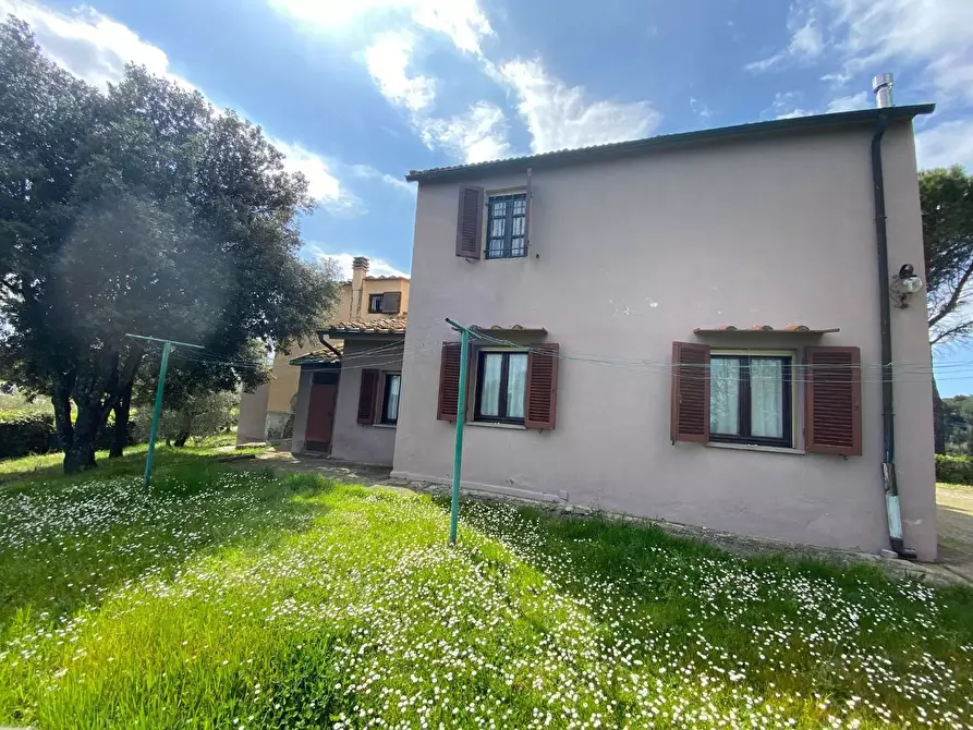 Immagine 4 di Rustico / casale in vendita  a Palaia