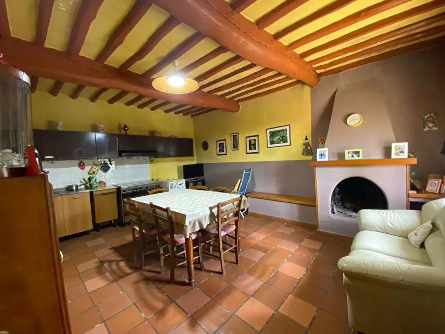 Immagine 13 di Rustico / casale in vendita  a Palaia
