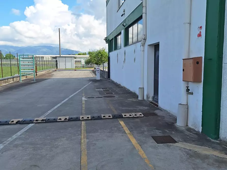 Immagine 4 di Capannone industriale in vendita  a Porcari