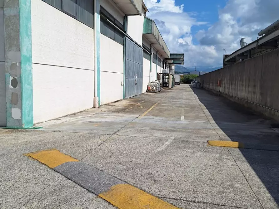 Immagine 2 di Capannone industriale in vendita  a Porcari