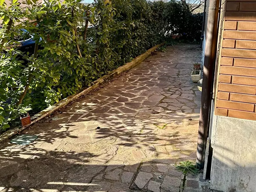 Immagine 19 di Appartamento in vendita  a Asciano