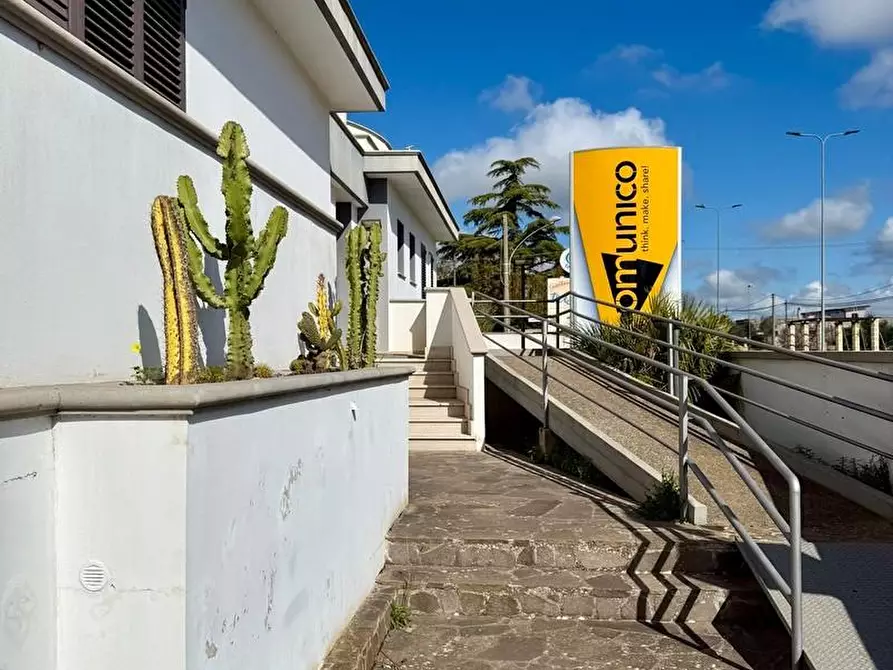 Immagine 7 di Villa in vendita  a Tricase