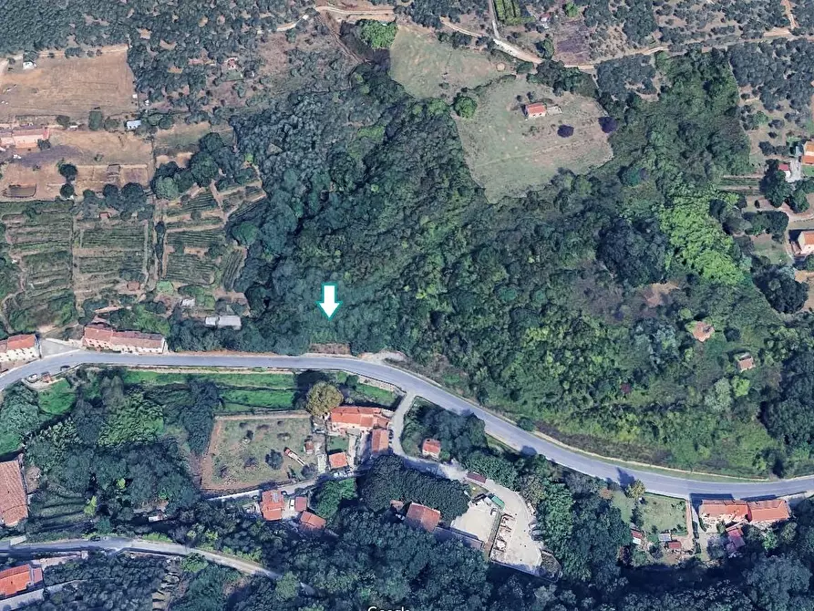 terreno edificabile in vendita a Buti