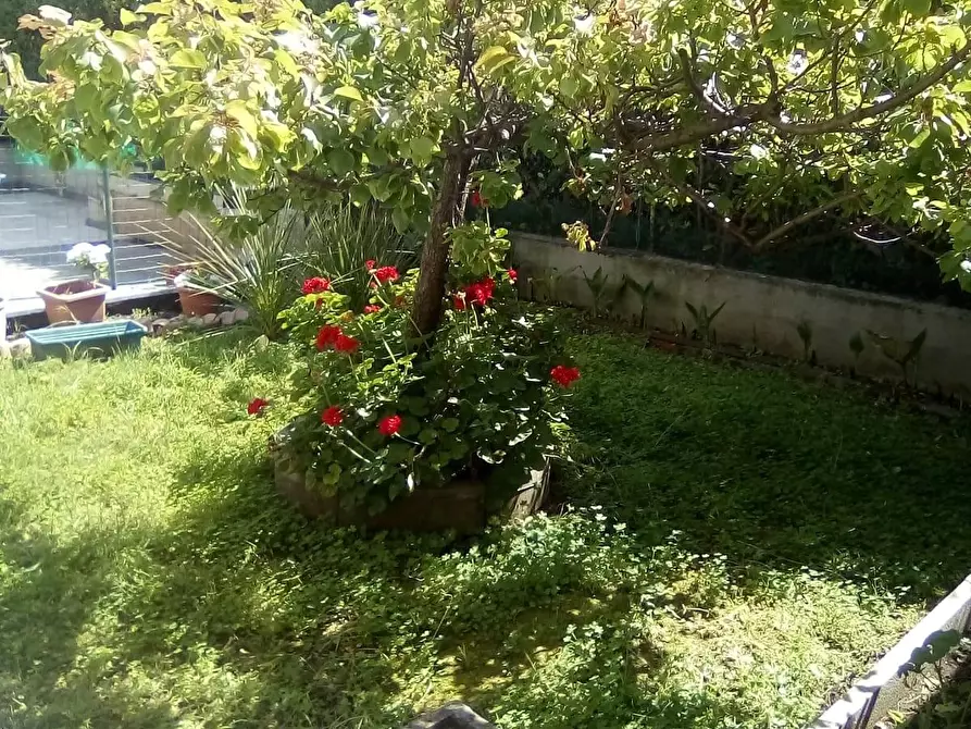 Immagine 19 di Appartamento in vendita  a Carrara