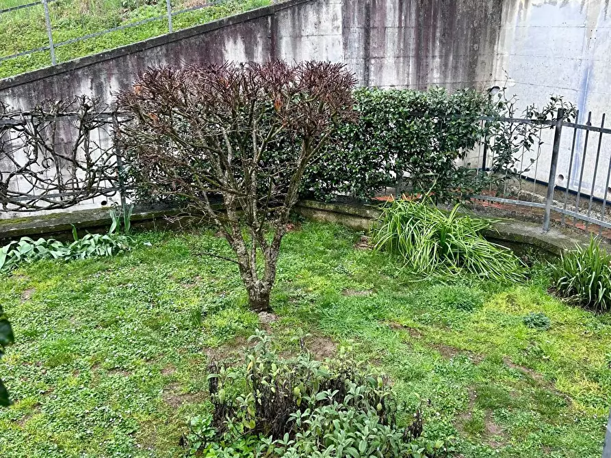 Immagine 22 di Appartamento in vendita  a Licciana Nardi