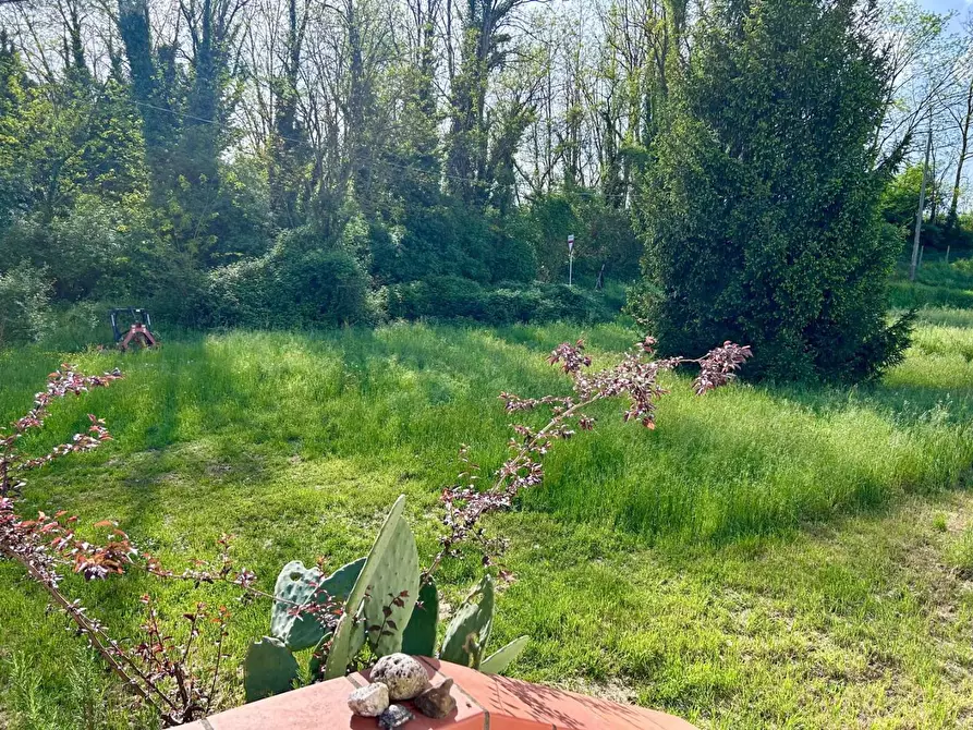 Immagine 2 di Casa indipendente in vendita  a Licciana Nardi