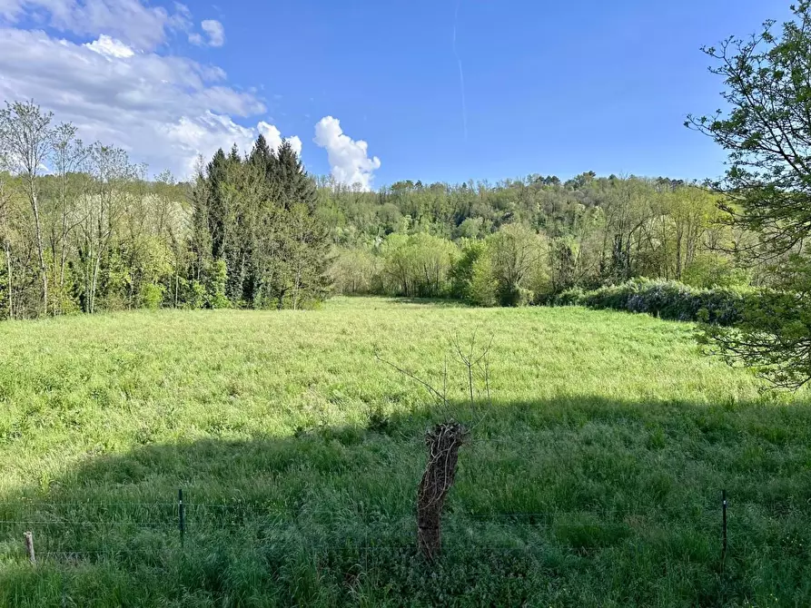 Immagine 17 di Casa indipendente in vendita  a Licciana Nardi