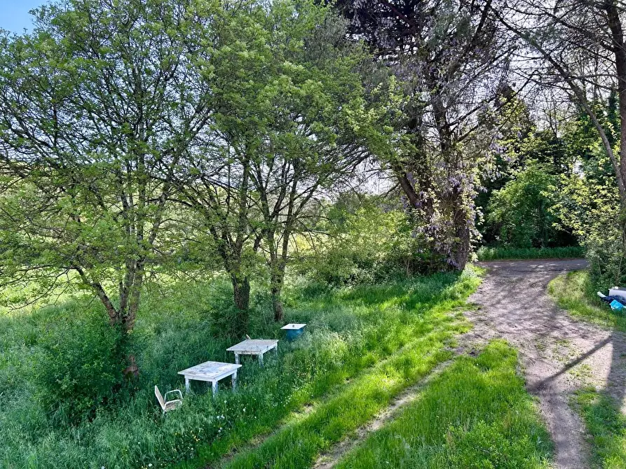 Immagine 16 di Casa indipendente in vendita  a Licciana Nardi