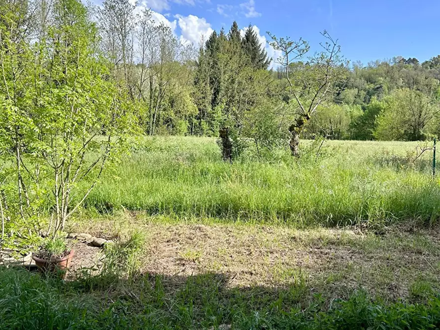 Immagine 25 di Casa indipendente in vendita  a Licciana Nardi