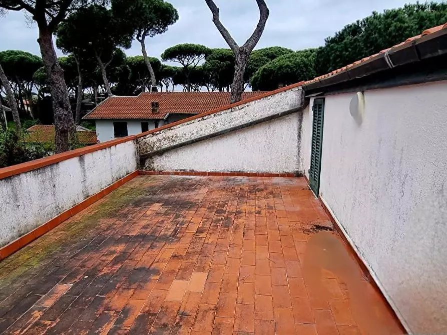 Immagine 5 di Appartamento in vendita  a Pisa