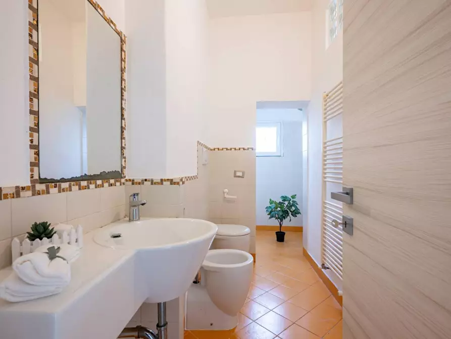 Immagine 25 di Terratetto in vendita  a Pisa