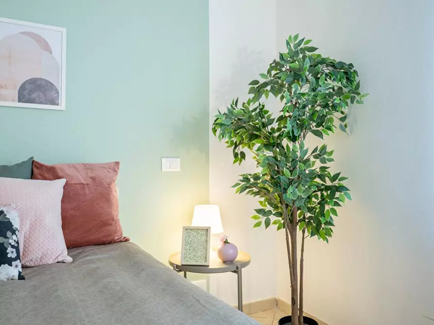 Immagine 23 di Terratetto in vendita  a Pisa