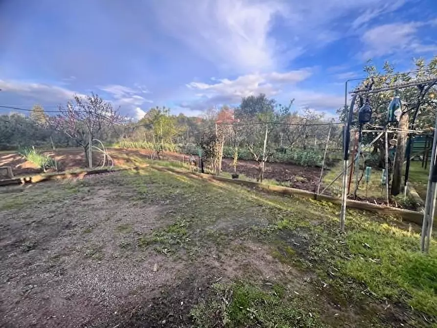 Immagine 2 di Terreno residenziale in vendita  a Cecina