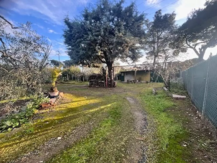 Immagine 3 di Terreno residenziale in vendita  a Cecina
