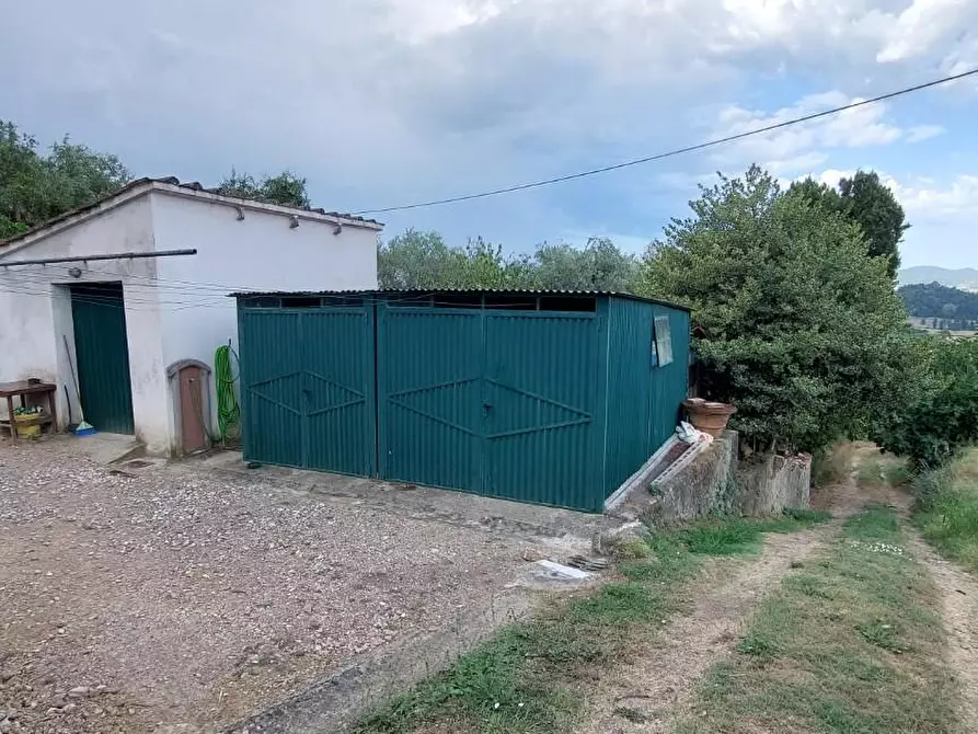 Immagine 13 di Porzione di casa in vendita  a Crespina Lorenzana