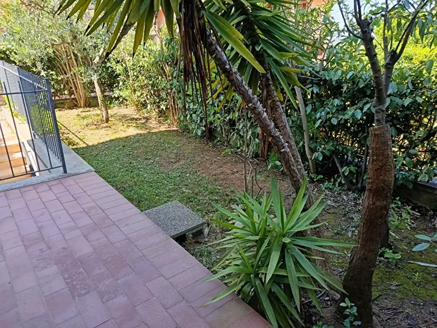 Immagine 22 di Appartamento in vendita  a Rosignano Marittimo