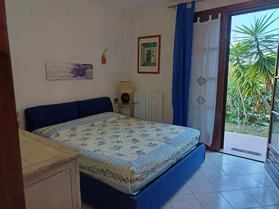 Immagine 12 di Appartamento in vendita  a Rosignano Marittimo