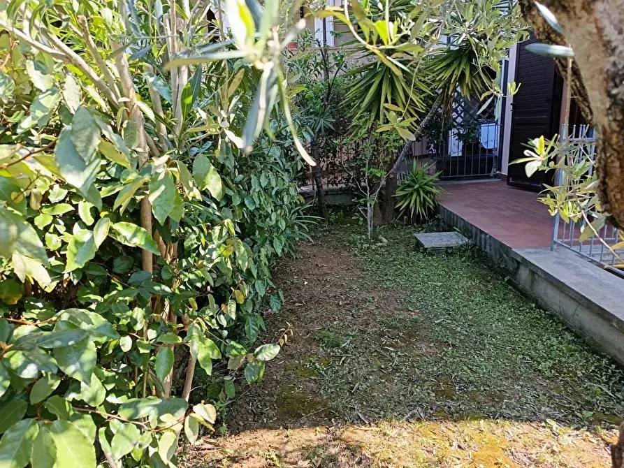 Immagine 23 di Appartamento in vendita  a Rosignano Marittimo