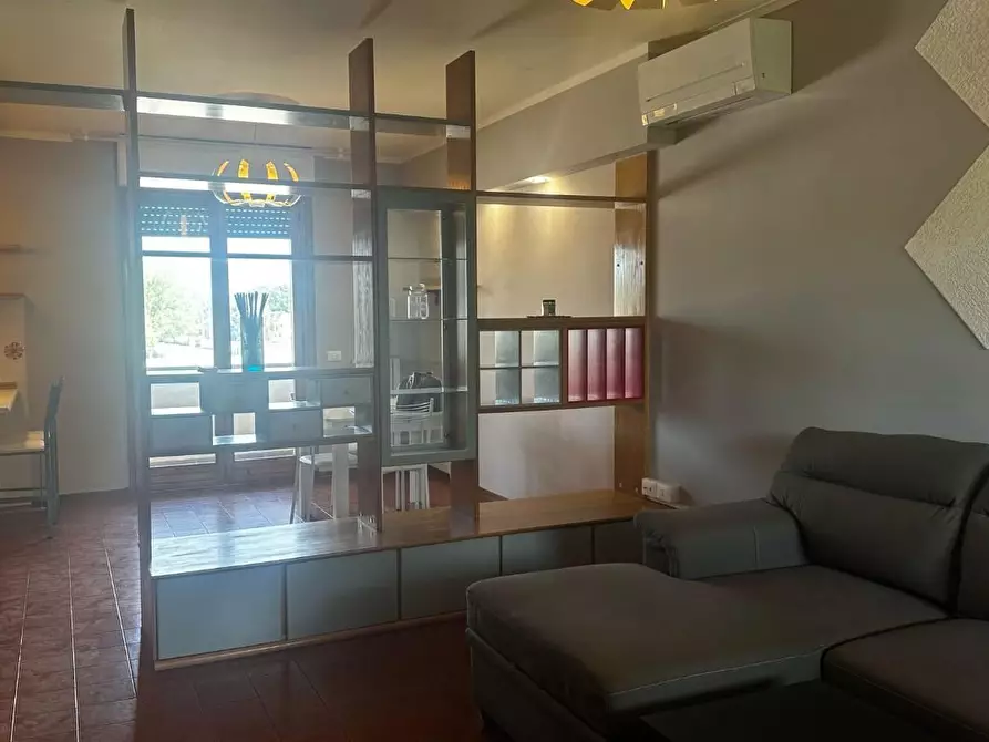 Immagine 11 di Appartamento in vendita  a Capannori