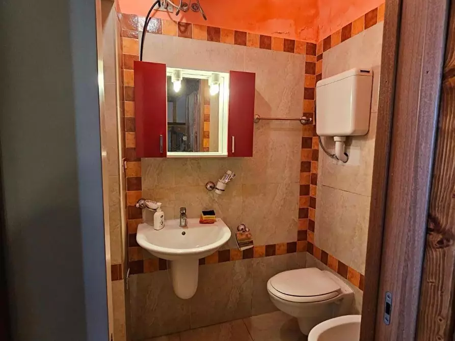 Immagine 16 di Appartamento in vendita  a Collesalvetti