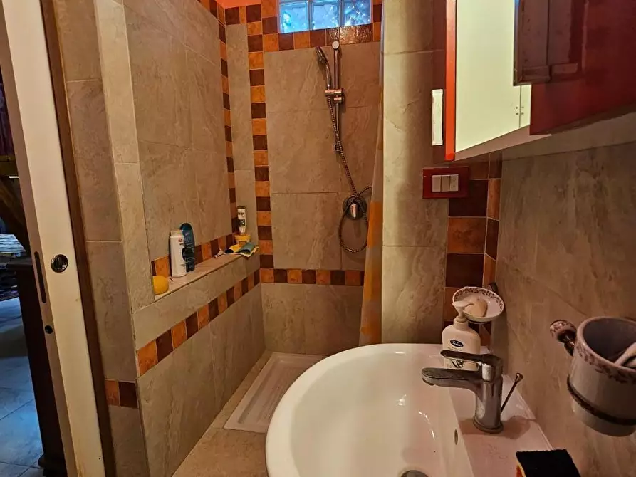 Immagine 15 di Appartamento in vendita  a Collesalvetti