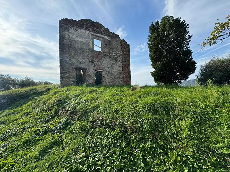 Immagine 30 di Villa in vendita  a Massa