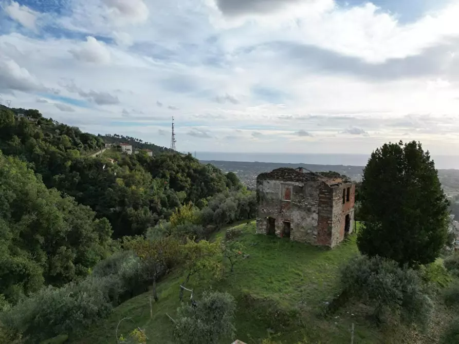 Immagine 17 di Villa in vendita  a Massa