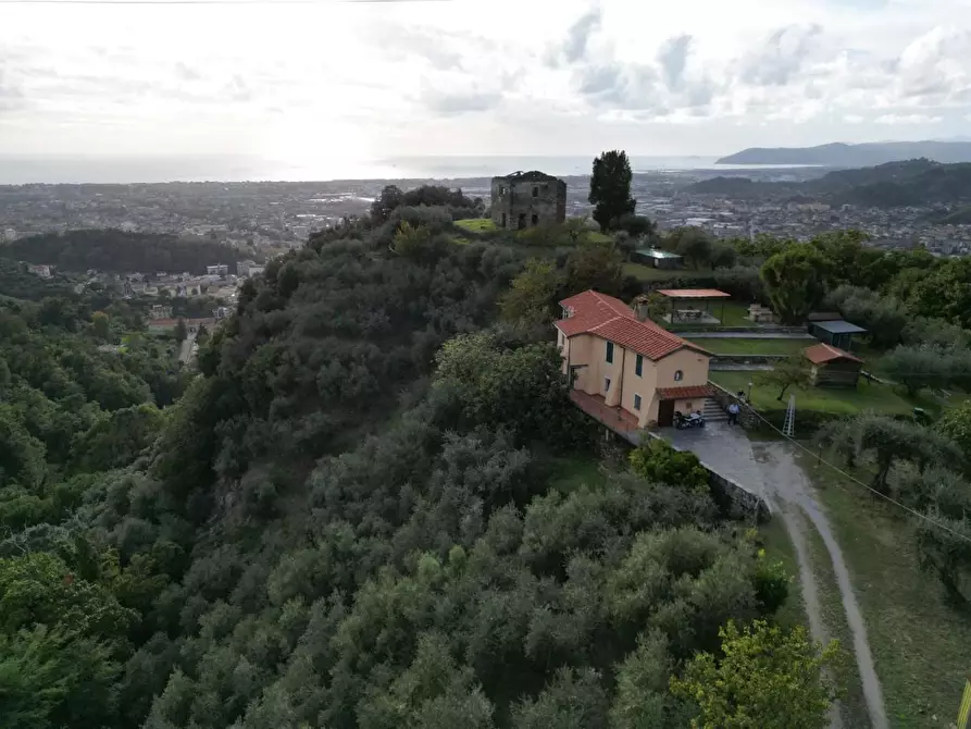 Immagine 2 di Villa in vendita  a Massa