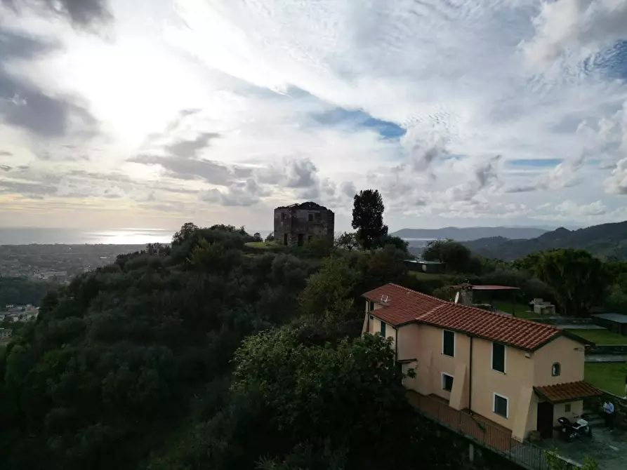 Immagine 13 di Villa in vendita  a Massa