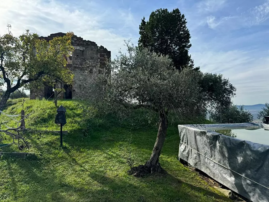 Immagine 28 di Villa in vendita  a Massa