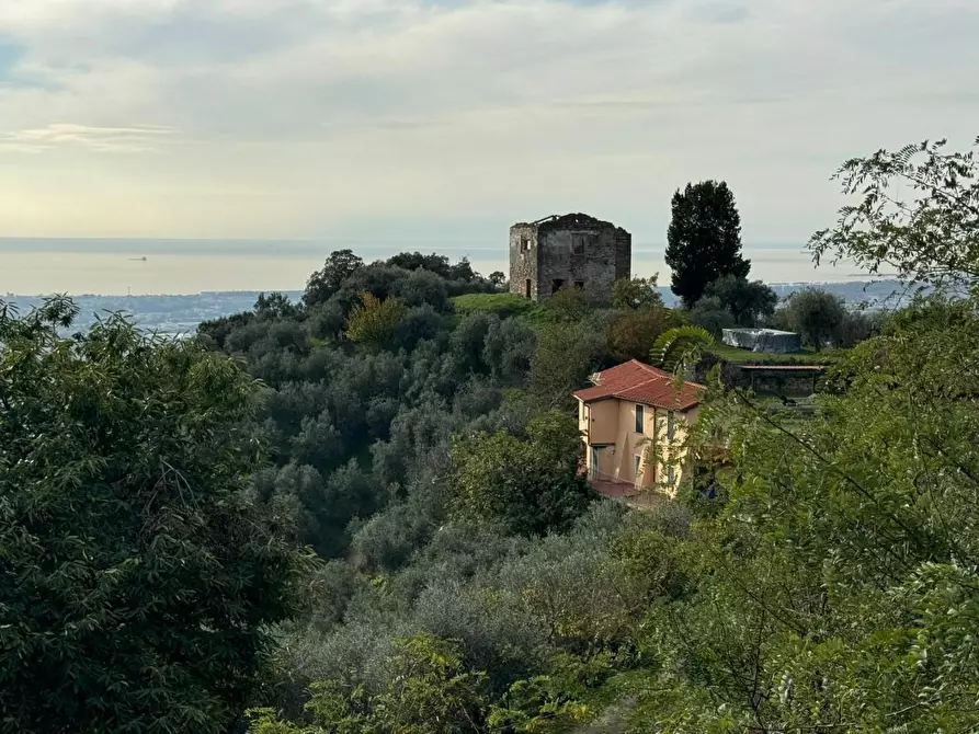 Immagine 25 di Villa in vendita  a Massa