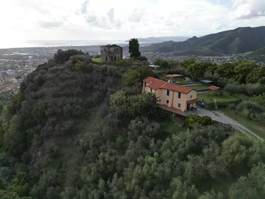Immagine 9 di Villa in vendita  a Massa