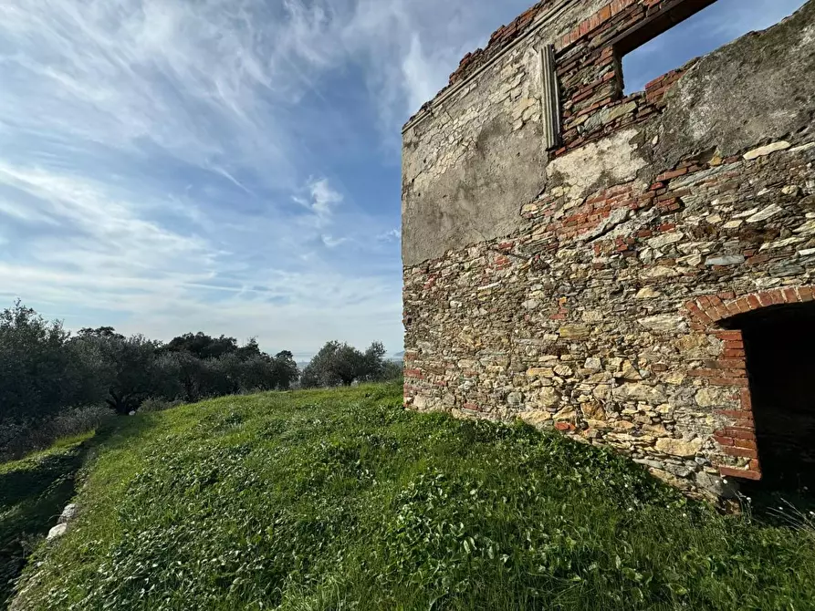 Immagine 7 di Villa in vendita  a Massa