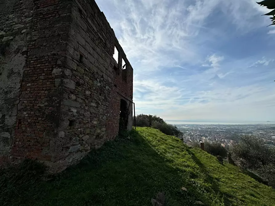 Immagine 8 di Villa in vendita  a Massa