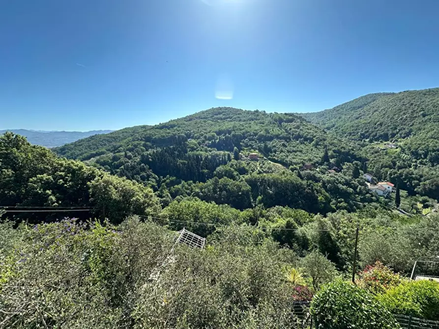 Immagine 34 di Appartamento in vendita  a Arcola