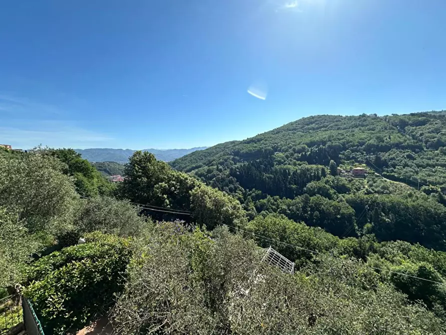 Immagine 35 di Appartamento in vendita  a Arcola