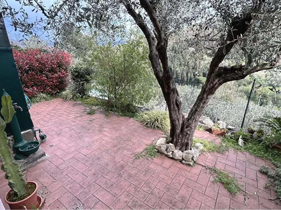 Immagine 6 di Appartamento in vendita  a Arcola