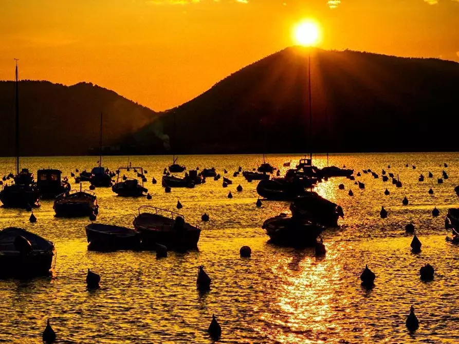 Immagine 2 di Appartamento in vendita  a Arcola