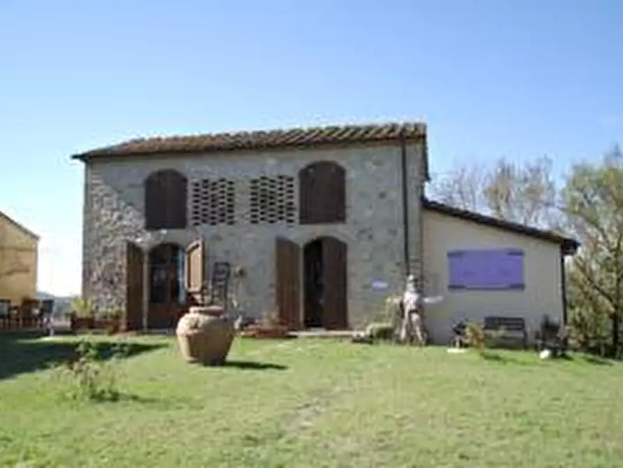Immagine 12 di Casa colonica in vendita  a Buonconvento